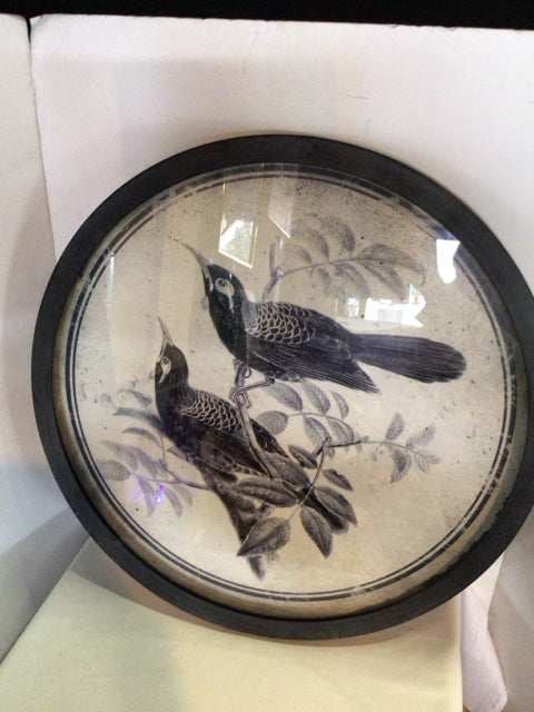 Uttermost Vintage Black/White Metal Round Birds Framed Art