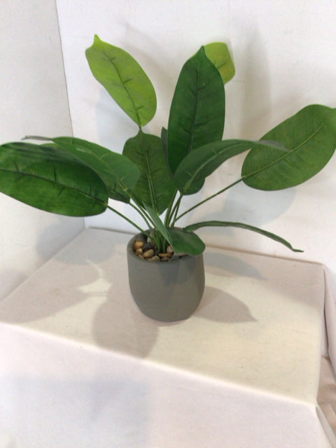 Green/Gray In Pot Faux Plant
