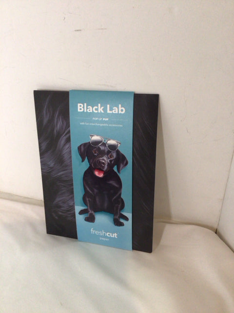 Pop-Up Black Paper Dog 3D Card