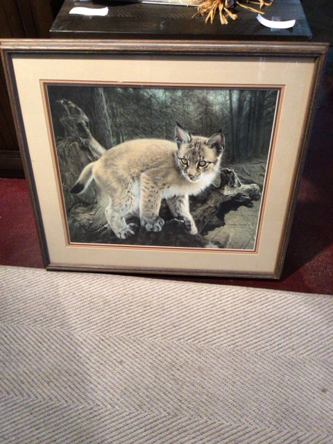 Tan Cat Framed Art