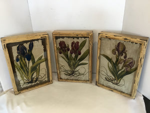 Set of 3 Multi-Color Wood Botanicals Flowers Framed Art