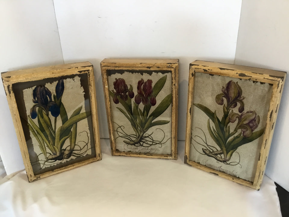 Set of 3 Multi-Color Wood Botanicals Flowers Framed Art