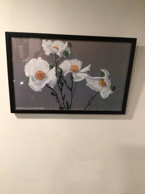 Green/White Poppies Framed Art