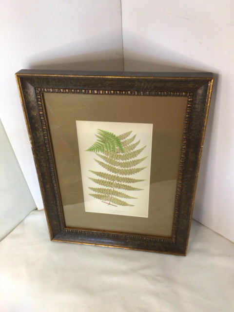 Botanical Green Leaf Framed Art
