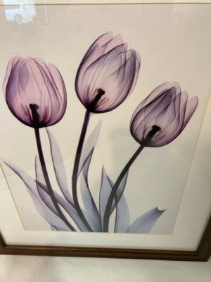 White/Purple Flowers Framed Art