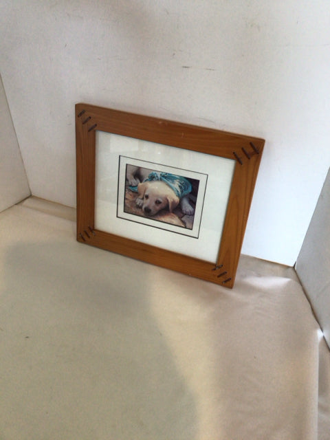 Rustic White/Tan Dog Framed Art