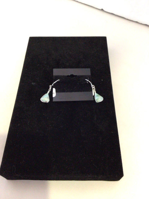 Blue/White Earrings