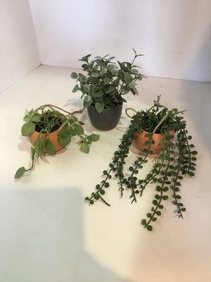 In Bag Green/Tan Set of 3 Faux Plant