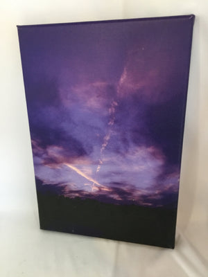 Purple/Blue Stretch Canvas Art