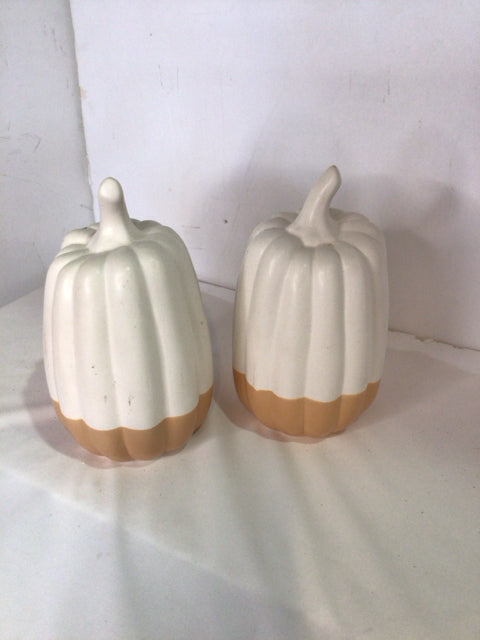 Fall Tan/White Ceramic Pumpkin Pair Holiday Item