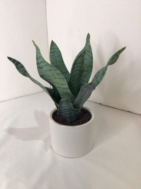 Green Succulent Faux Plant