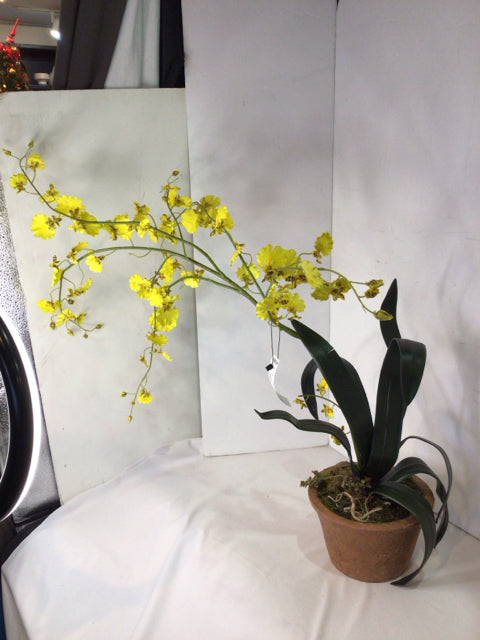 Yellow/Green Orchids In Planter Faux Flowers