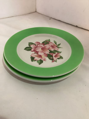 Meyer's Pair Green Stoneware Flowers Plate Set