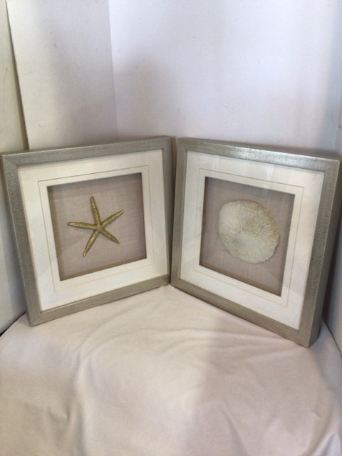 Pair White/Beige Shell Starfish Framed Art