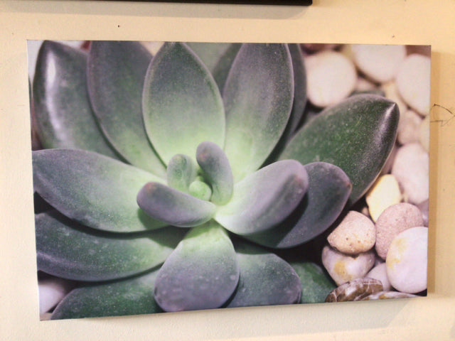 Green/Cream Plant Stretch Canvas Art