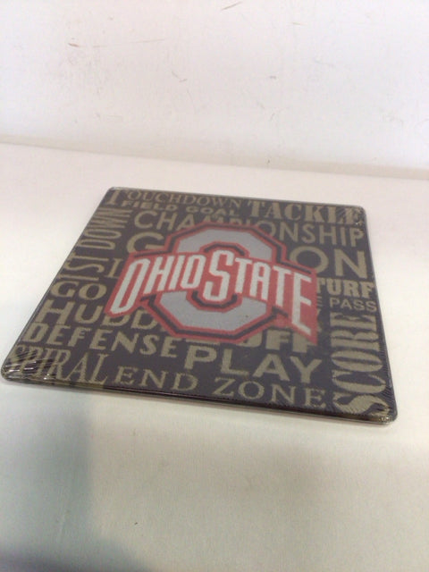 Glass Ohio State Hot Pads