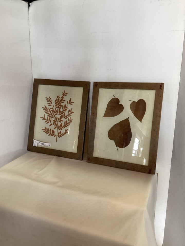 Pair Brown/White Leaves Pressed Framed Art