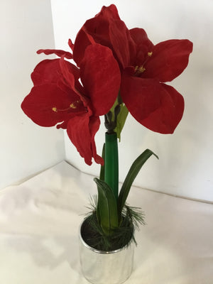 Red Amaryllis Holiday Item