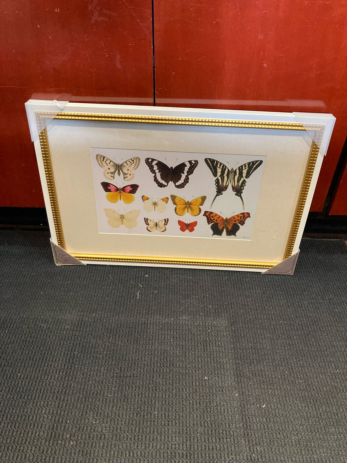 White/Multi Butterflies Framed Art
