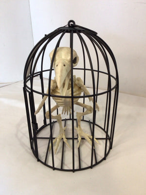 Halloween Black/White Plastic Skeleton Holiday Item