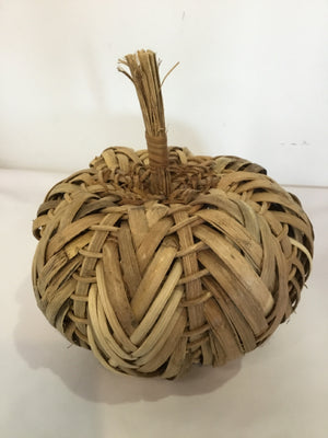 Natural Grasses Pumpkin Holiday Item