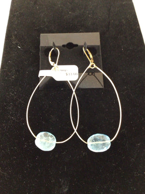 Blue/Gold Earrings