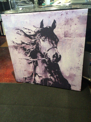 Black/White Horse Stretch Canvas Art