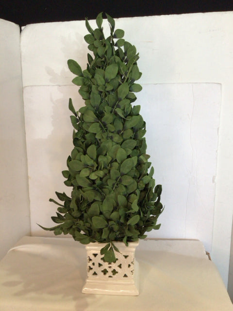 Green Cone Topiary