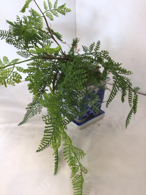 Blue/White Ceramic Planter