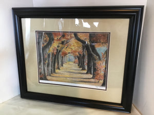 Signed Autumn Trees Framed Art