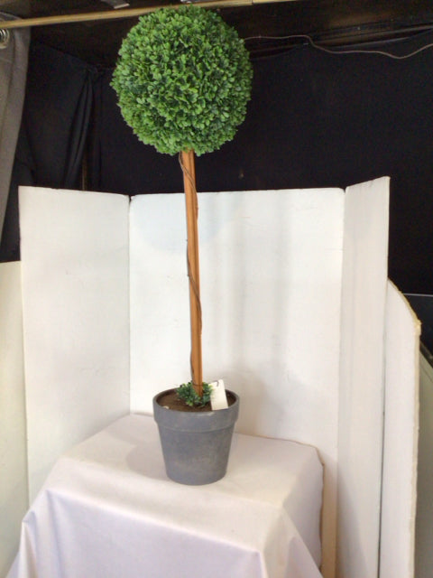 Green/Gray Topiary