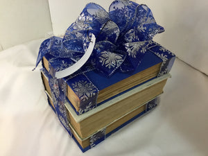 Decorative Blue/Silver Books Christmas Holiday Item