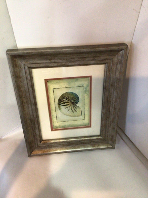 Gold/Black Shell Framed Art