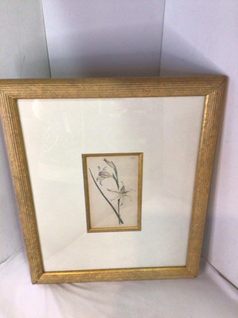 Botanical Gold Lillies Framed Art