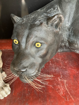 Indoor/Outdoor Black Resin Panther Sculpture