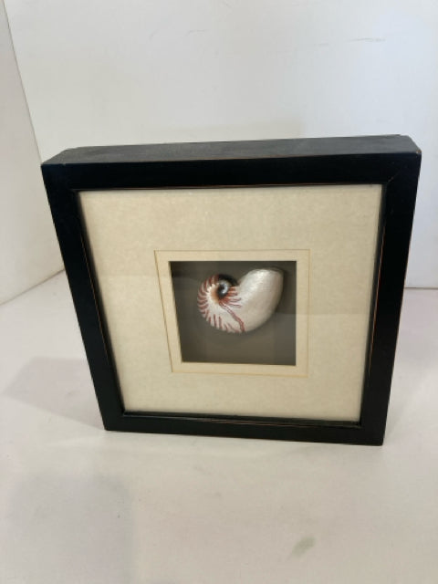 Shadow Box Black/White Shell Framed Art