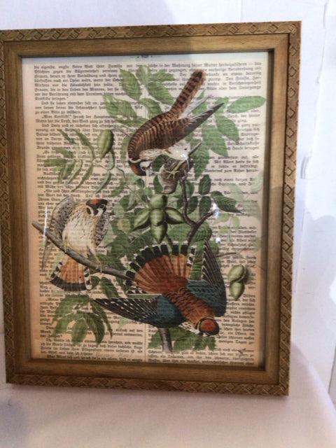 Bohemian Black/White Birds Framed Art