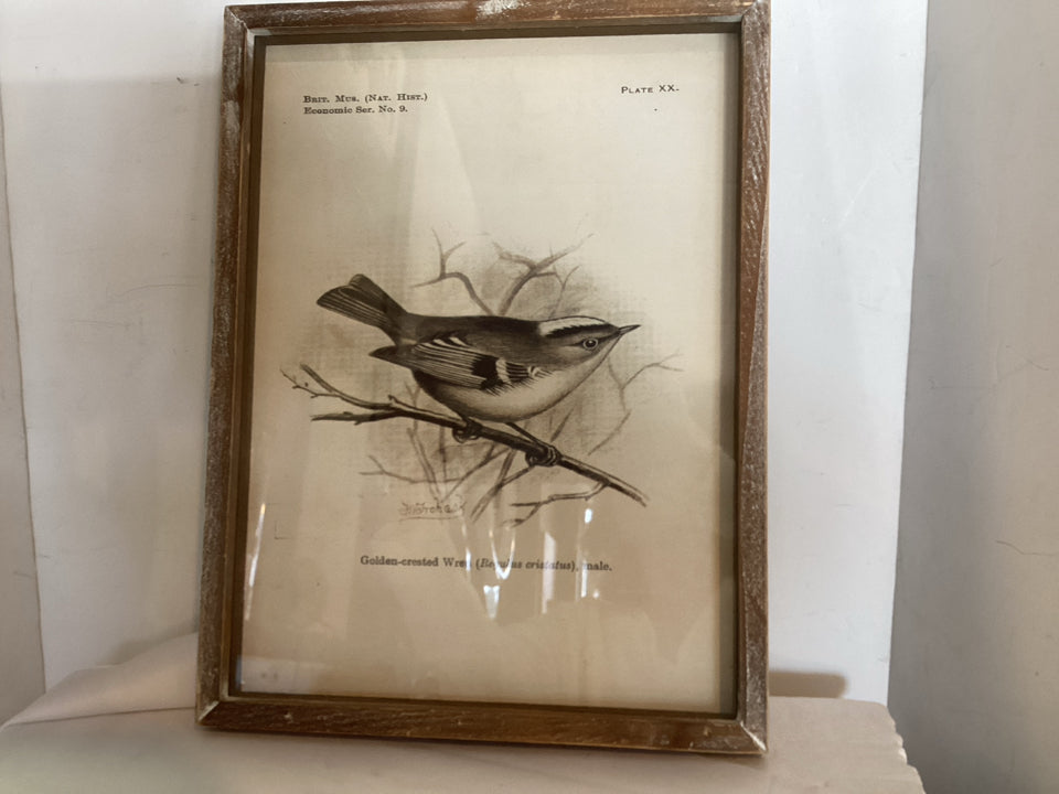 Black/White Bird Framed Art