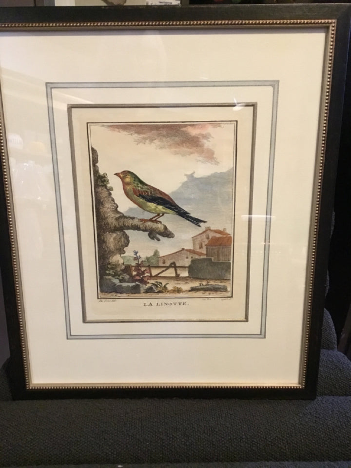 Vintage Multi-Color Bird Framed Art