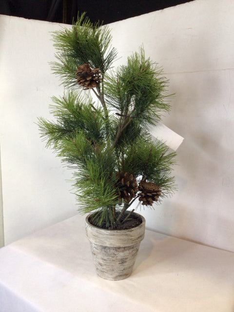 Tree Green/Beige Pine Cone Holiday Item