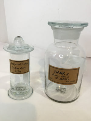 Two's Company Apothocary Clear Glass Pair Bottle Set