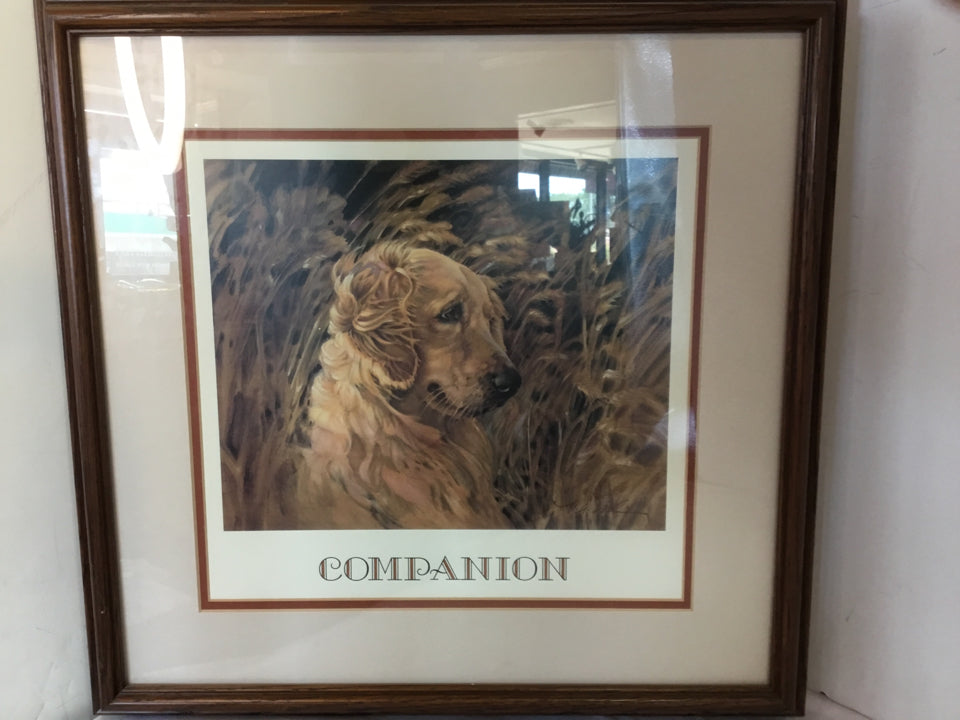 Brown Dog Framed Art