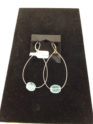 Blue/Gold Earrings