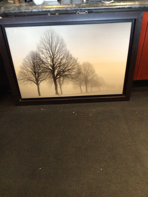 Black/White Winter Trees Framed Art