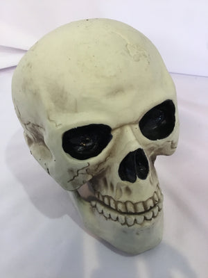 Cream Plastic Skeleton Holiday Item