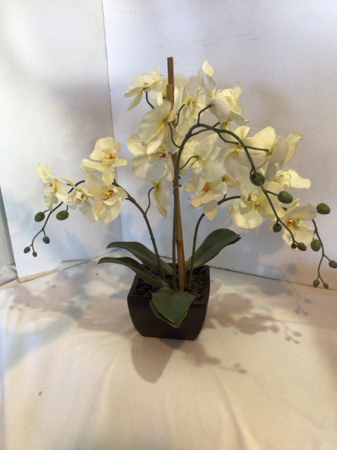 Green/Yellow Orchids In Planter Faux Flowers