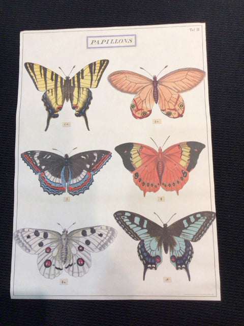 Botanical Cream/Multi Butterflies Poster