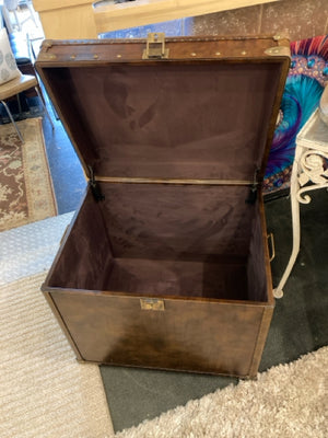Wood Brown Trunk