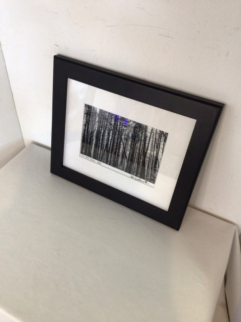 Signed Black/White Photo Trees Framed Art