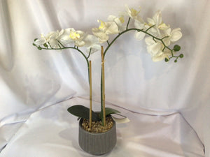 Green/White Orchids In Planter Faux Flowers